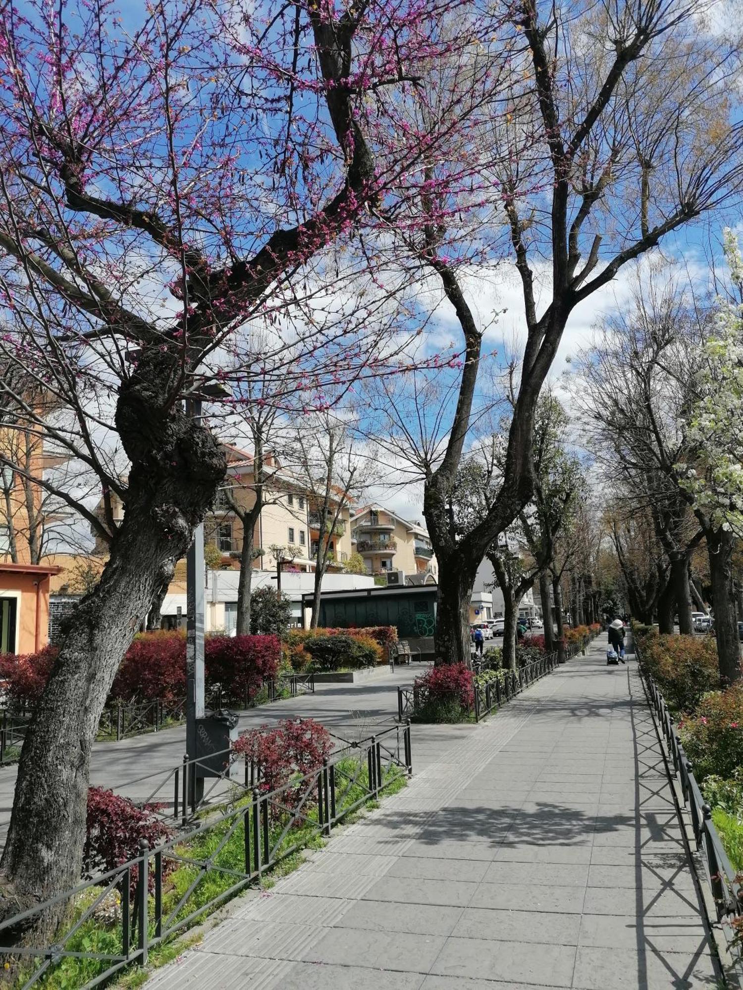 La Passeggiata Apartman Monterotondo  Kültér fotó